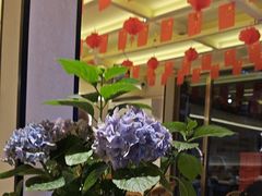-龚海宝· 烧烤· 羊肉原切挂糊更好吃(庄市店)