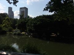 -九龙公园