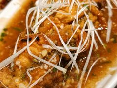 -陈麻婆豆腐总店