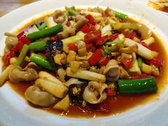 -鸡毛店·川菜(李家沱店)