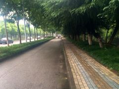 iphone_upload_pic-乐咖啡西餐厅(太湖皇冠假日酒店)