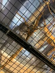 -酷嗒动物文化乐园(cutezoo西溪乐天城店)