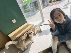 -飞行喵MR PILOT|猫舍·猫咖(静安大融城店)