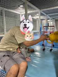 -MELAND(大融城店)