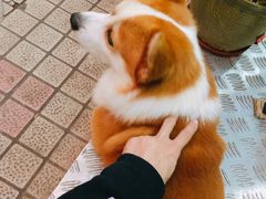 -小梁哥云吞面(黄贝岭店)