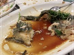 清蒸花斑鱼-岭南海晏楼(东晓南店)