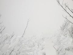 -里口山风景名胜区