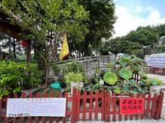 -荔湾湖公园