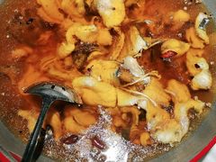 -雲蜀龙阁·金牌水煮鱼(方庄店)