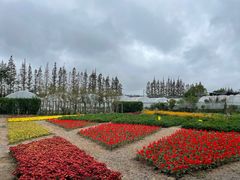 -前小桔亲子创意农场·草莓采摘·露营烧烤