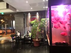 -大唐盲人按摩中心(黄山路店)