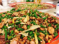 -东吴霸王兔(松青路店)