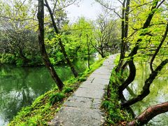 -西溪国家湿地公园