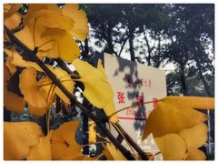 -四川大学(望江校区)
