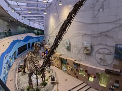 -陕西自然博物馆