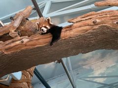 -石家庄市动物园