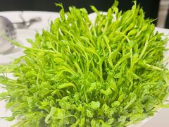 鲜活豆苗-红雀围·海鲜火锅(陆家嘴中心店)