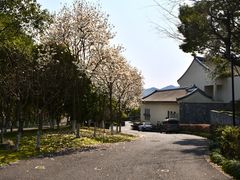 -宁波柏悦酒店·钱湖渔港