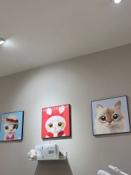 -洗脸猫·洗脸吧