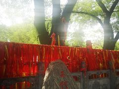 -大槐树寻根祭祖园