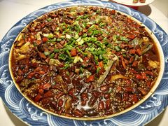 -新概念来凤鱼(璧山店)
