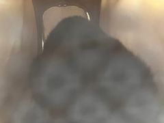 -佑安动物医院·全科·内窥镜中心(幸福巷店)