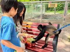 -水上乐园·欢乐世界