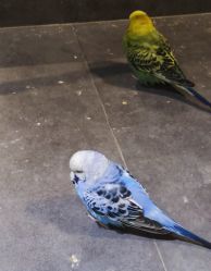 -酷嗒动物文化乐园(cutezoo西溪乐天城店)