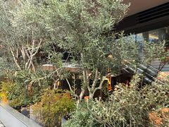 -SHAN山(前滩太古里店)