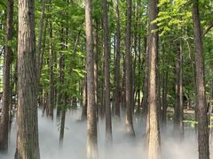 -东湖落雁景区