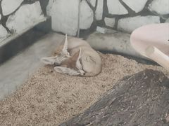 -海合安武汉极地海洋公园