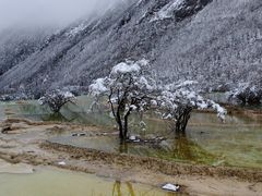 -黄龙山原始森林景区