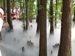 -东湖落雁景区