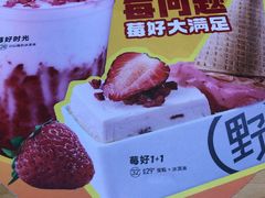 -野人先生现做冰淇淋(北京环宇荟店)