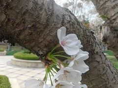 -青岛鑫江温德姆酒店