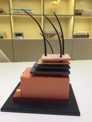 -咪咪比基尼脱毛专业店