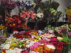 -双季花艺园艺市场(浦东店)