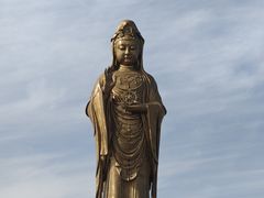 -洲晓鲜·舟山海鲜大排档(朱家尖风景区店)