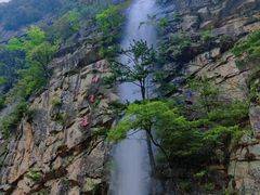 -青峰峡国家森林公园