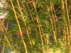 -新紫霞养生·影院足道·SPA(金山区店)