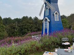 -铁山坪森林公园