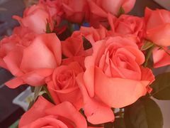 -俏贝拉(裕后街店)