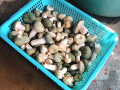 -双喜农庄·菌香园(安居家园店)