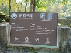 -都江堰中华大熊猫苑