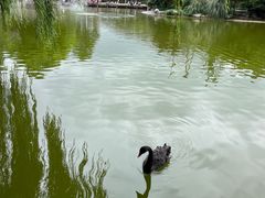 -成都动物园