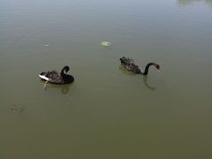 -长春北湖公园