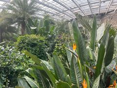 -济南植物园