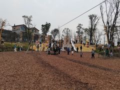 -铁山坪森林公园