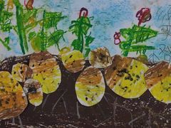 -学知乐教育·幼小衔接·小学科辅导(嘉定镇校区)