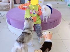 -怪兽屋·羊驼·猫咖·狗咖(俊华广场店)